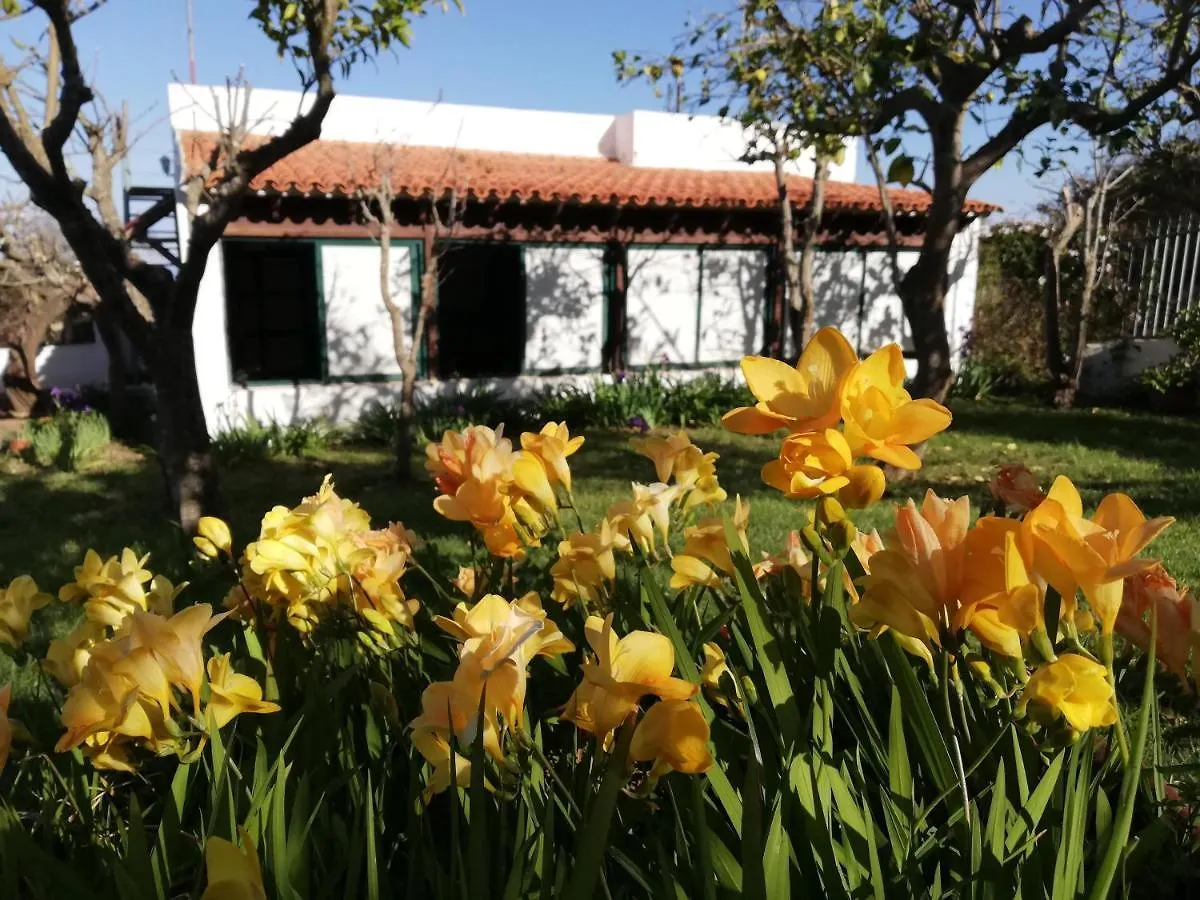 Casa Rural Limón Y Sol El El Sauzal España