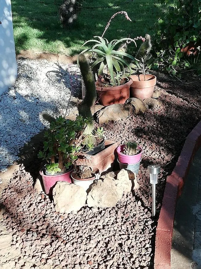 Casa Rural Limón Y Sol El El Sauzal España