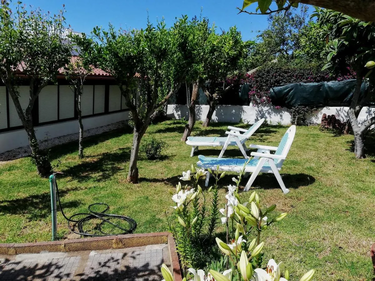 Casa Rural Limon Y Sol Sauzal Prázdninový dům