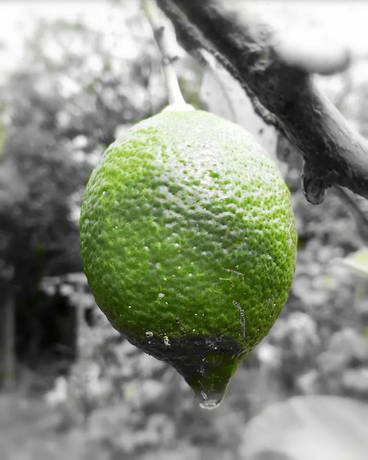 Casa Rural Limon Y Sol Sauzal 0*,
